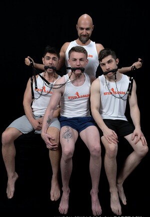 Stud Loads Vol. 4. Stable Master