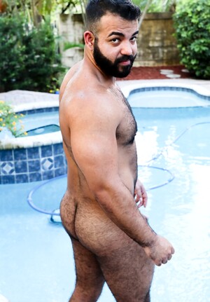 Bearly Working Part 1