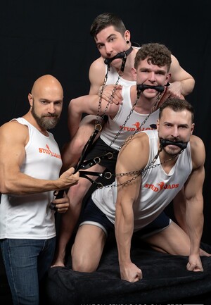 Stud Loads #10, Title: Mare Assessment